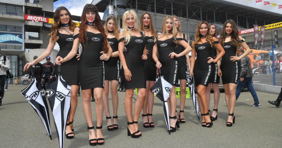 Paddock Girls