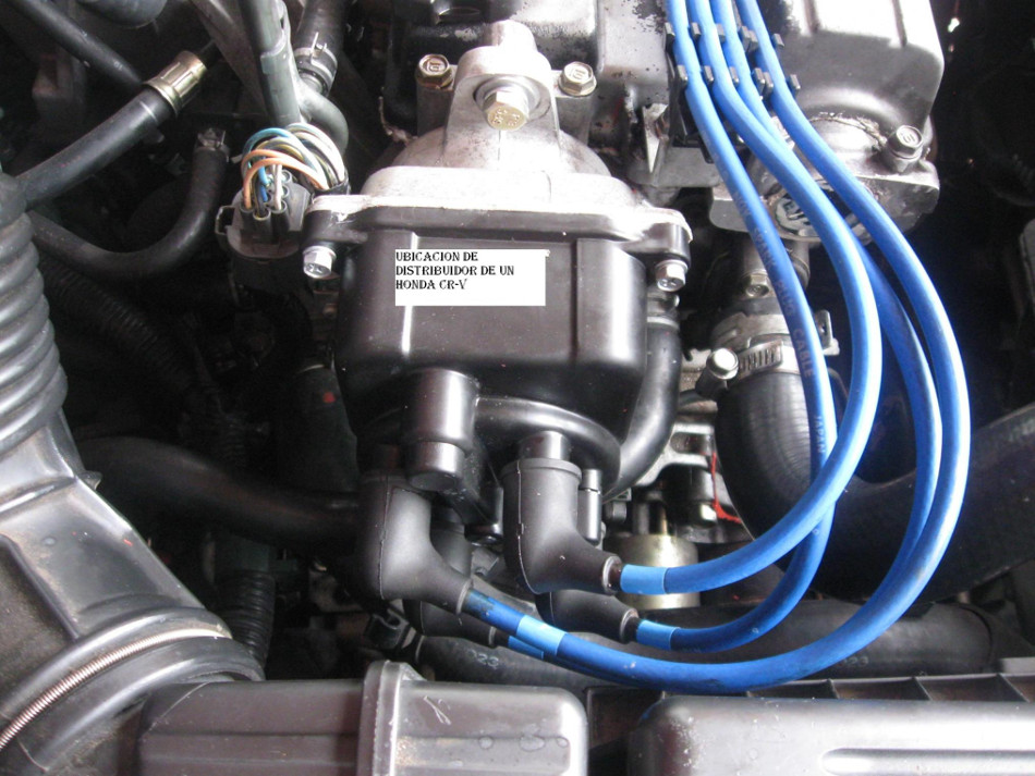 distribuidor-2