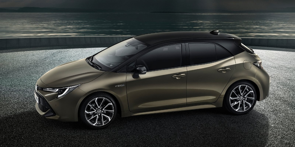 Auris foto lateral