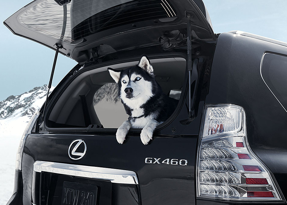 Lexus GX-2