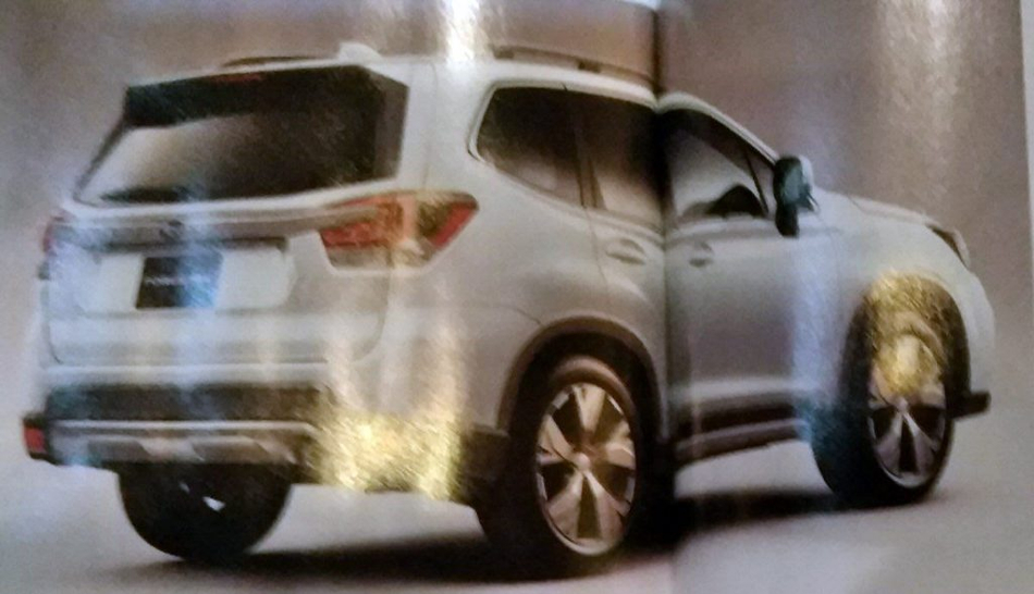Forester posterior