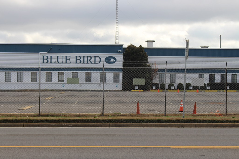 Blue Bird-4