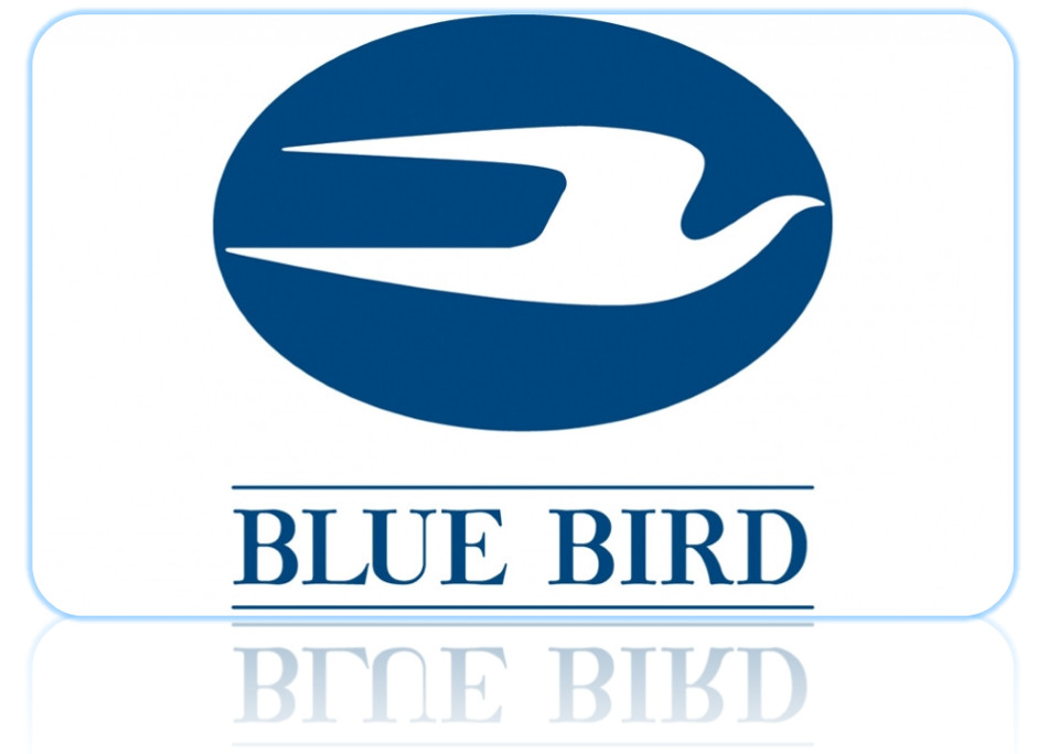 Blue Bird-5