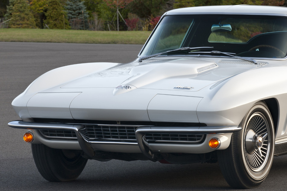 Stingray-1