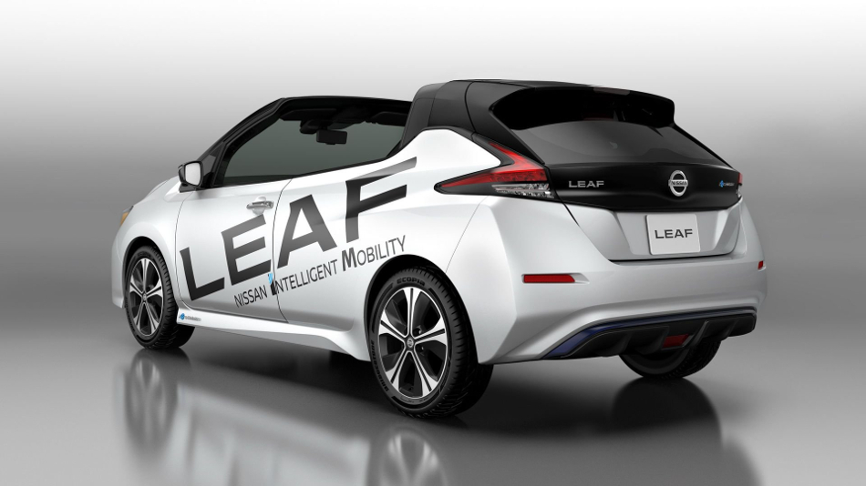 Open Car posterior