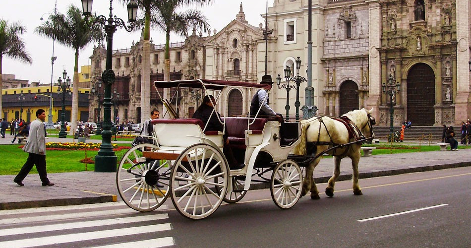 Caballos-1