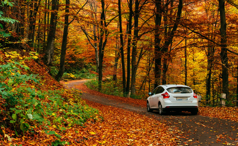 Otoño 1
