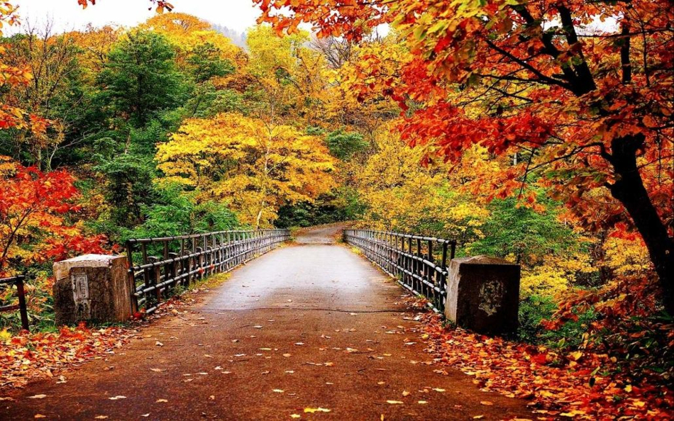Otoño 2