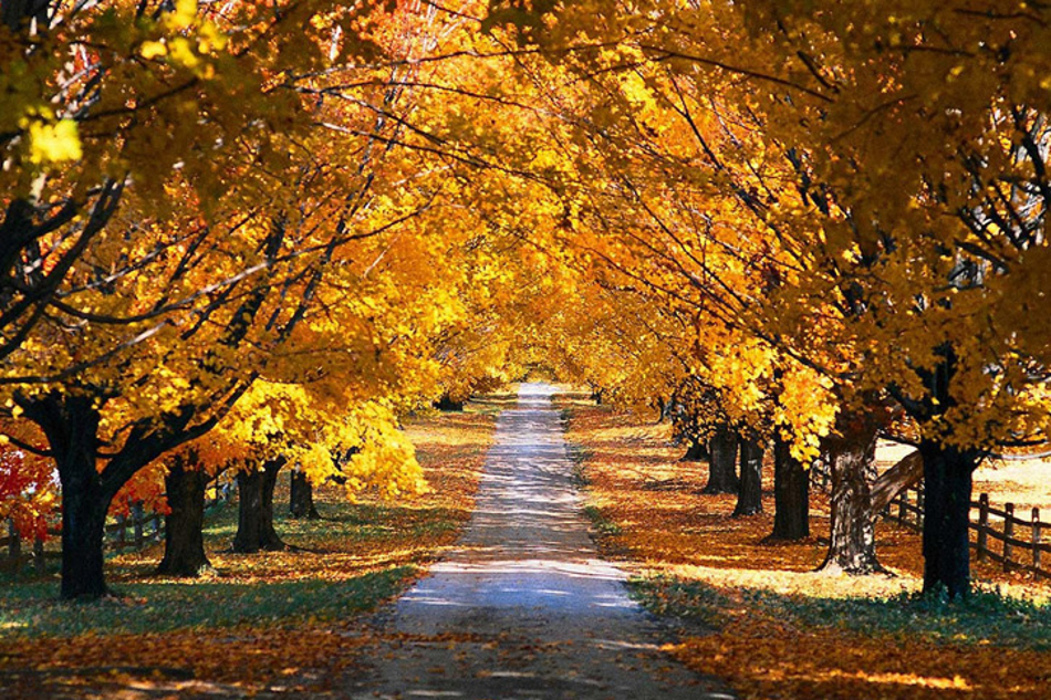 Otoño 3