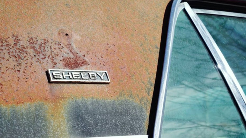 Shelby-4