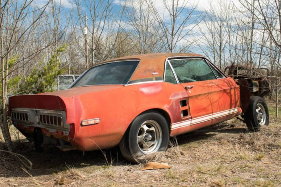Shelby-5