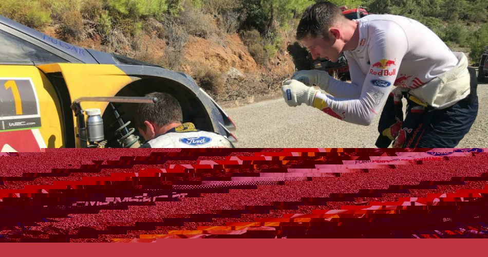 Descripción de la imagen