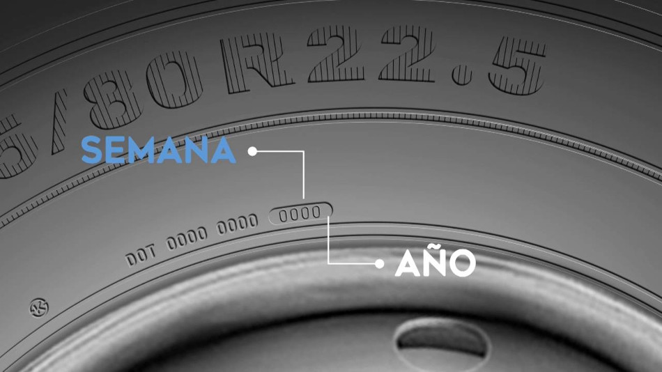 Neumáticos-2