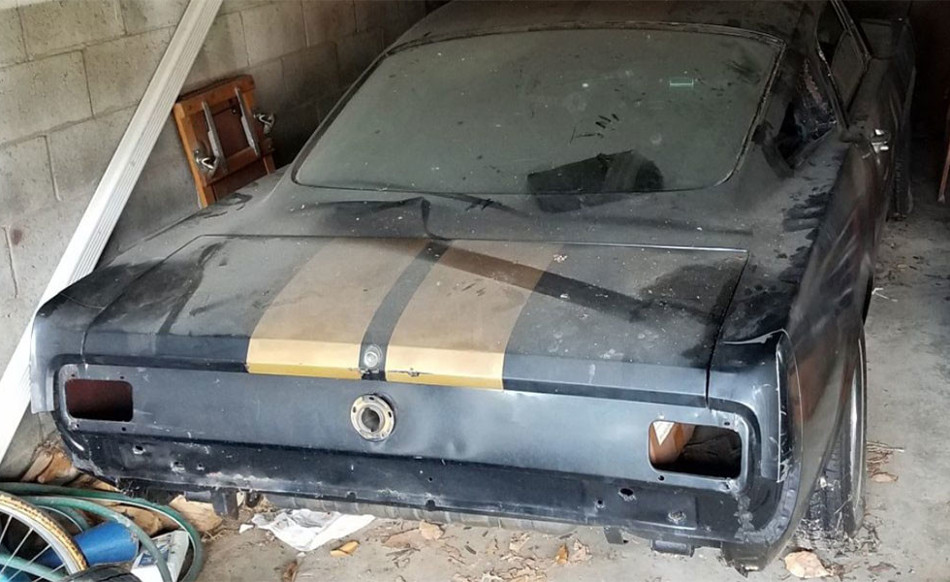 Mustang-1