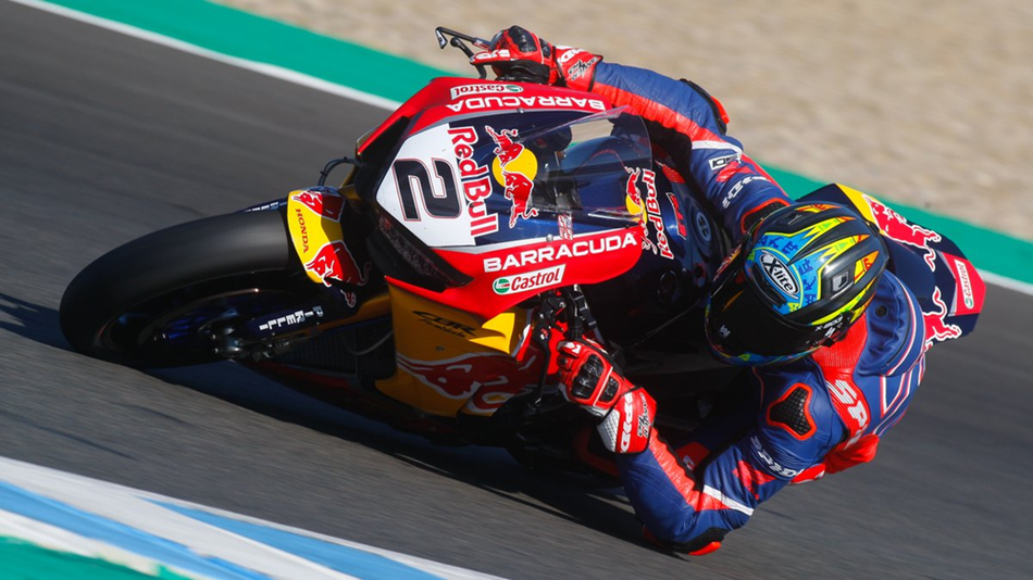 Camier en Jerez