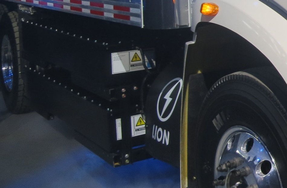 Lion-4