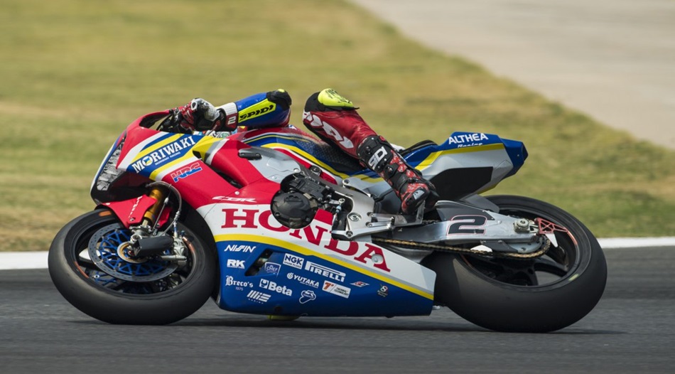 Camier en Tailandia