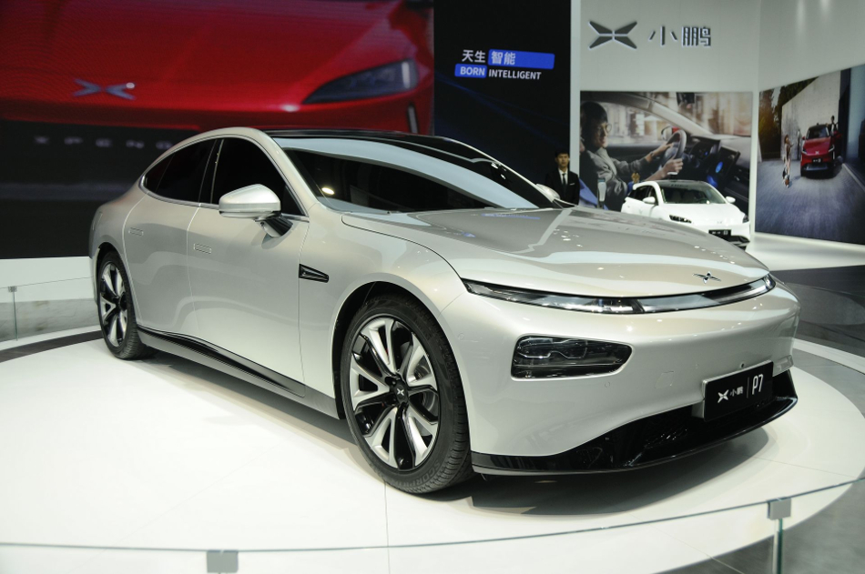P7 imagen frontal