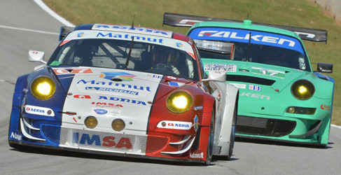 ELMS