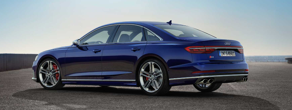 S8 posterior