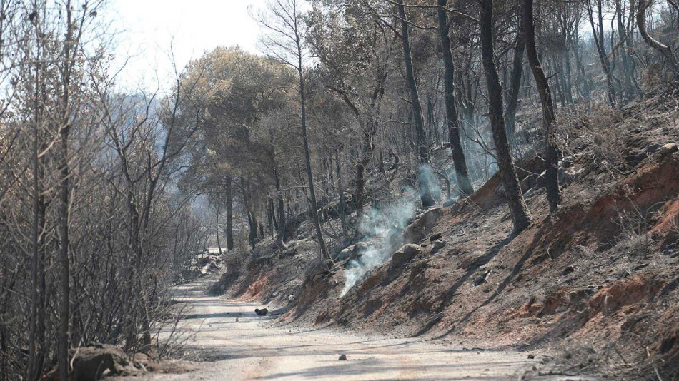 Incendios-2