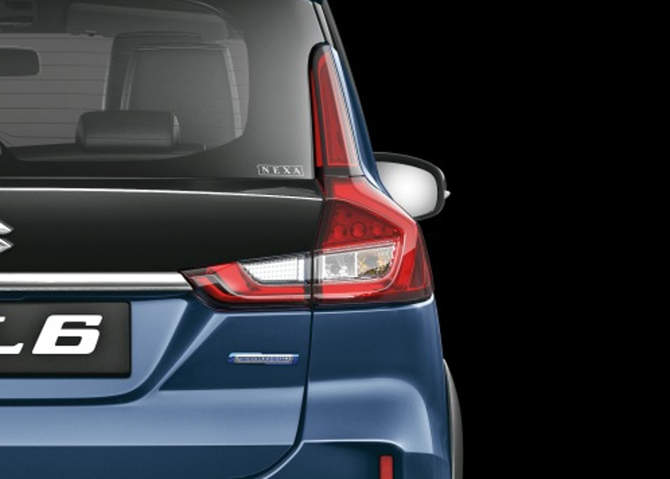 Suzuki-2