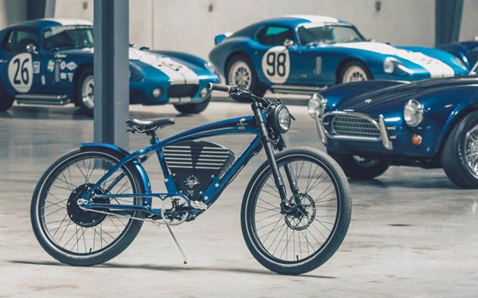 Shelby-1
