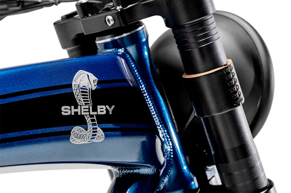 Shelby-3