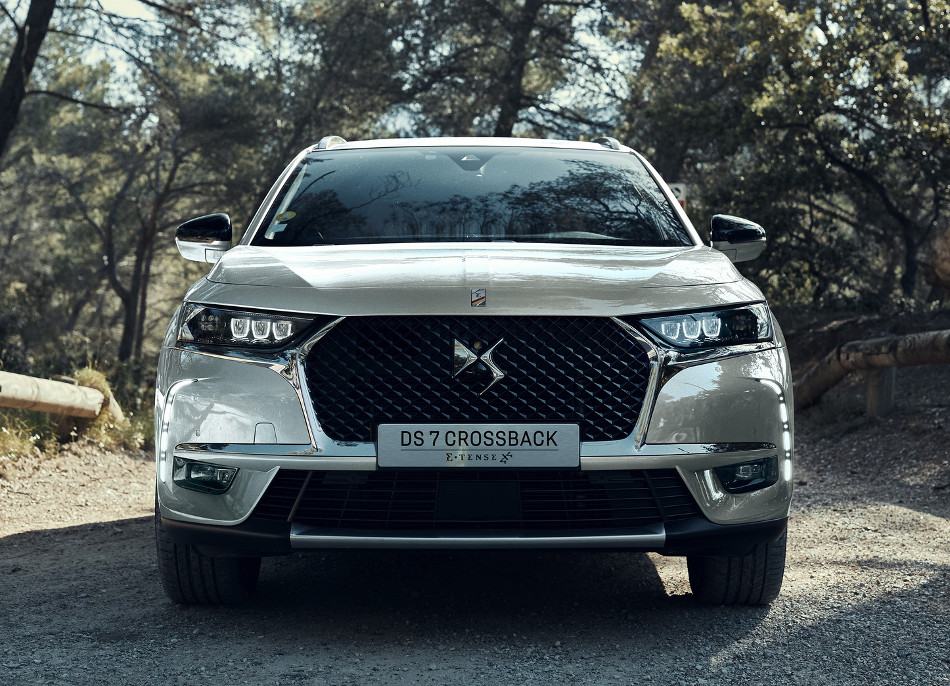 DS-3