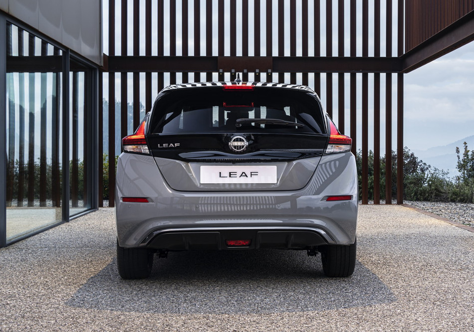 Leaf-3