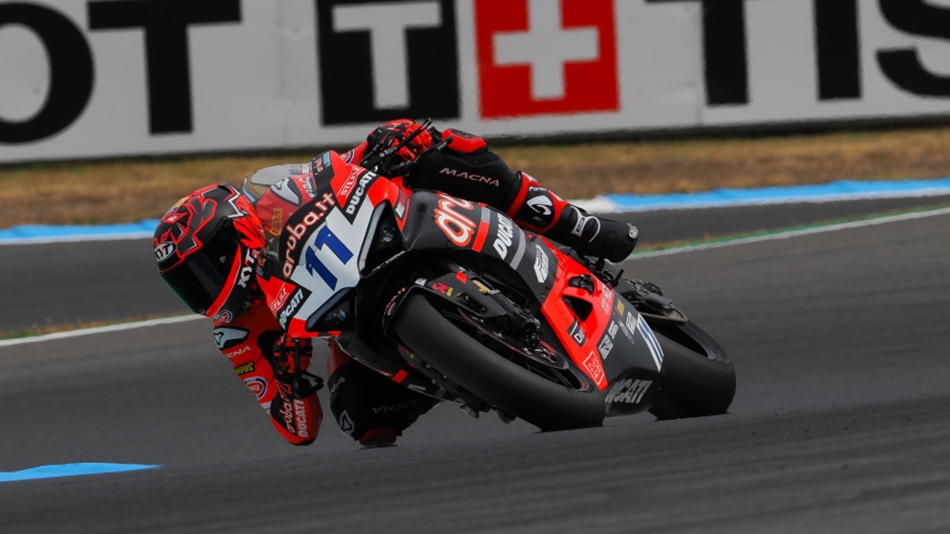 Bulega