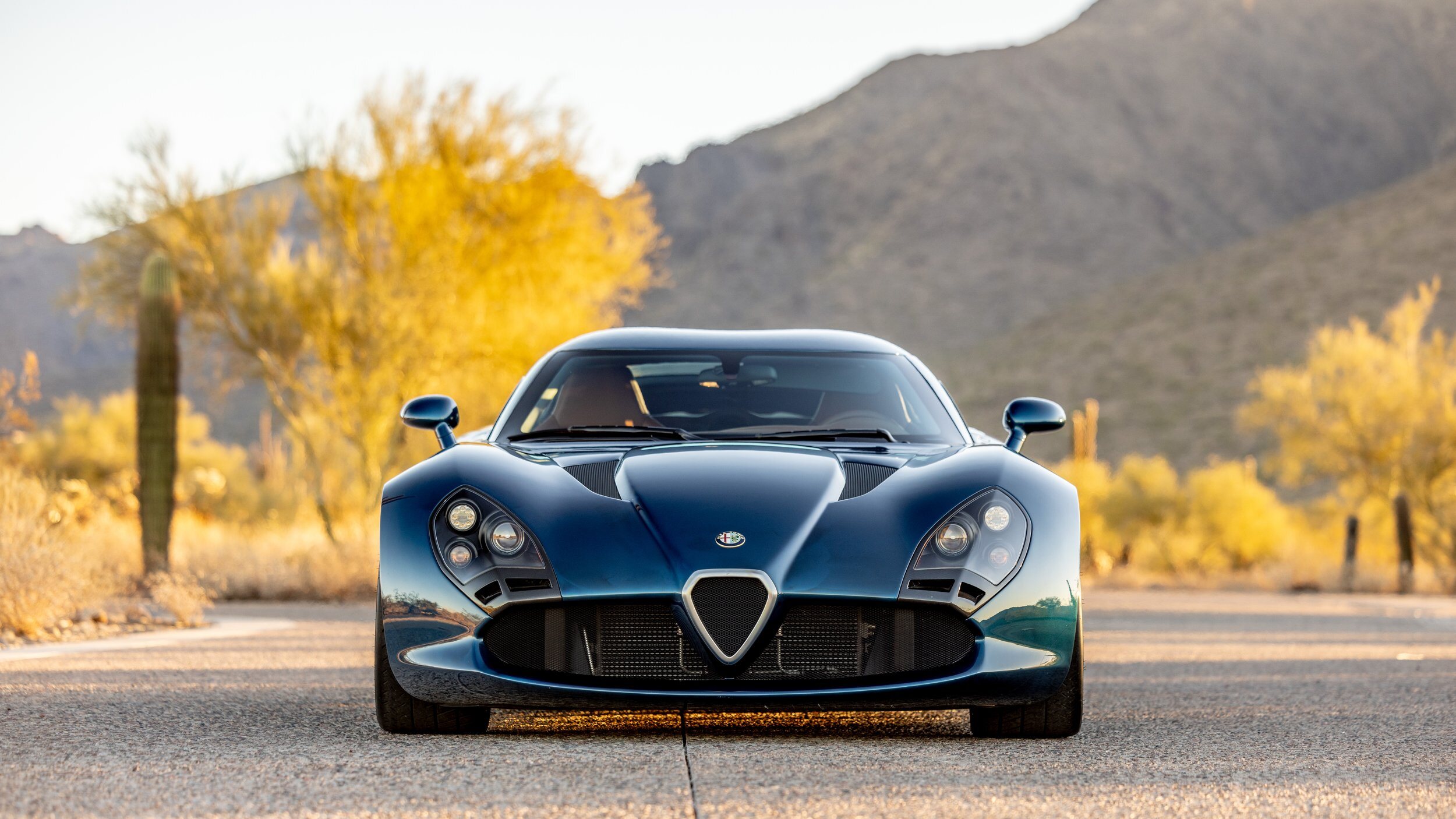 El precioso frontal del Alfa Romeo TZ3 Stradale