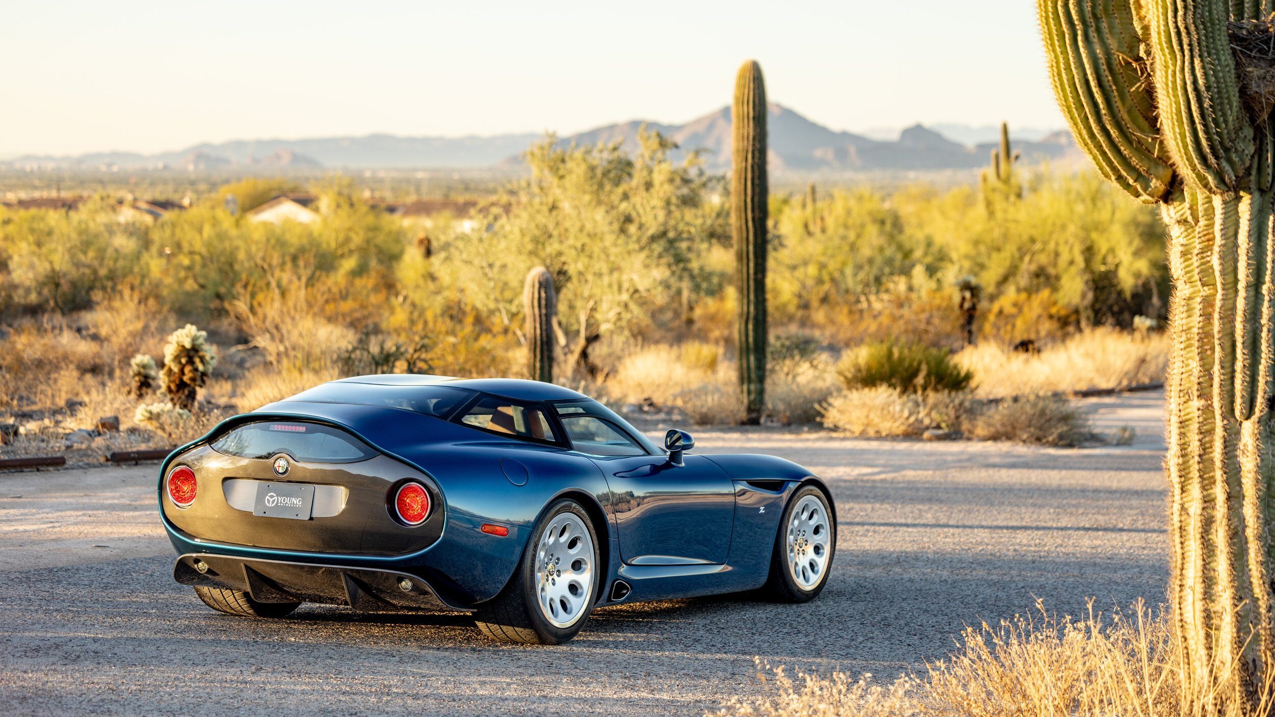 Parte trasera del Alfa Romeo TZ3 Stradale