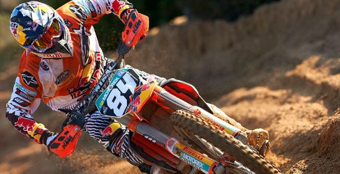Herlings