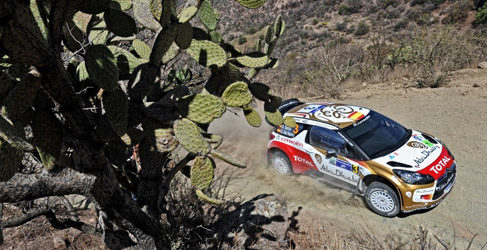 dani sordo portugal