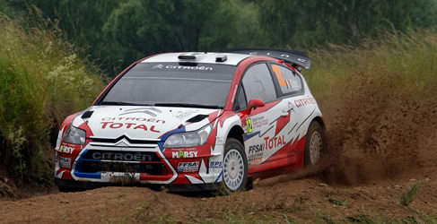 rally polonia wrc