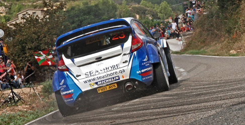 mundial rallies 2014