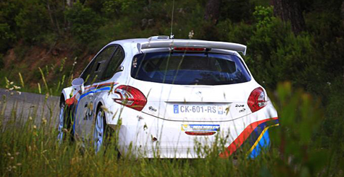 peugeot sport erc 2014