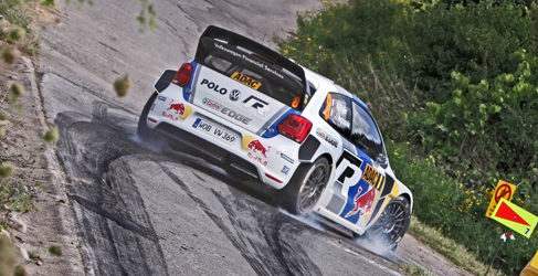 pilotos wrc 2014