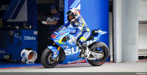 suzuki wild card