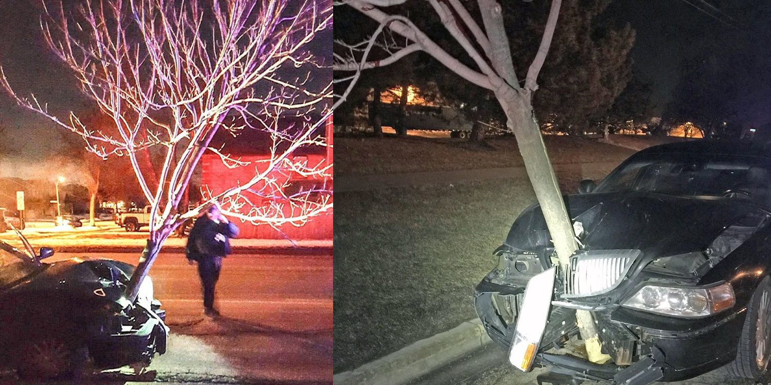 Sorprenden un vehículo circulando con un árbol entero en la parrilla frontal