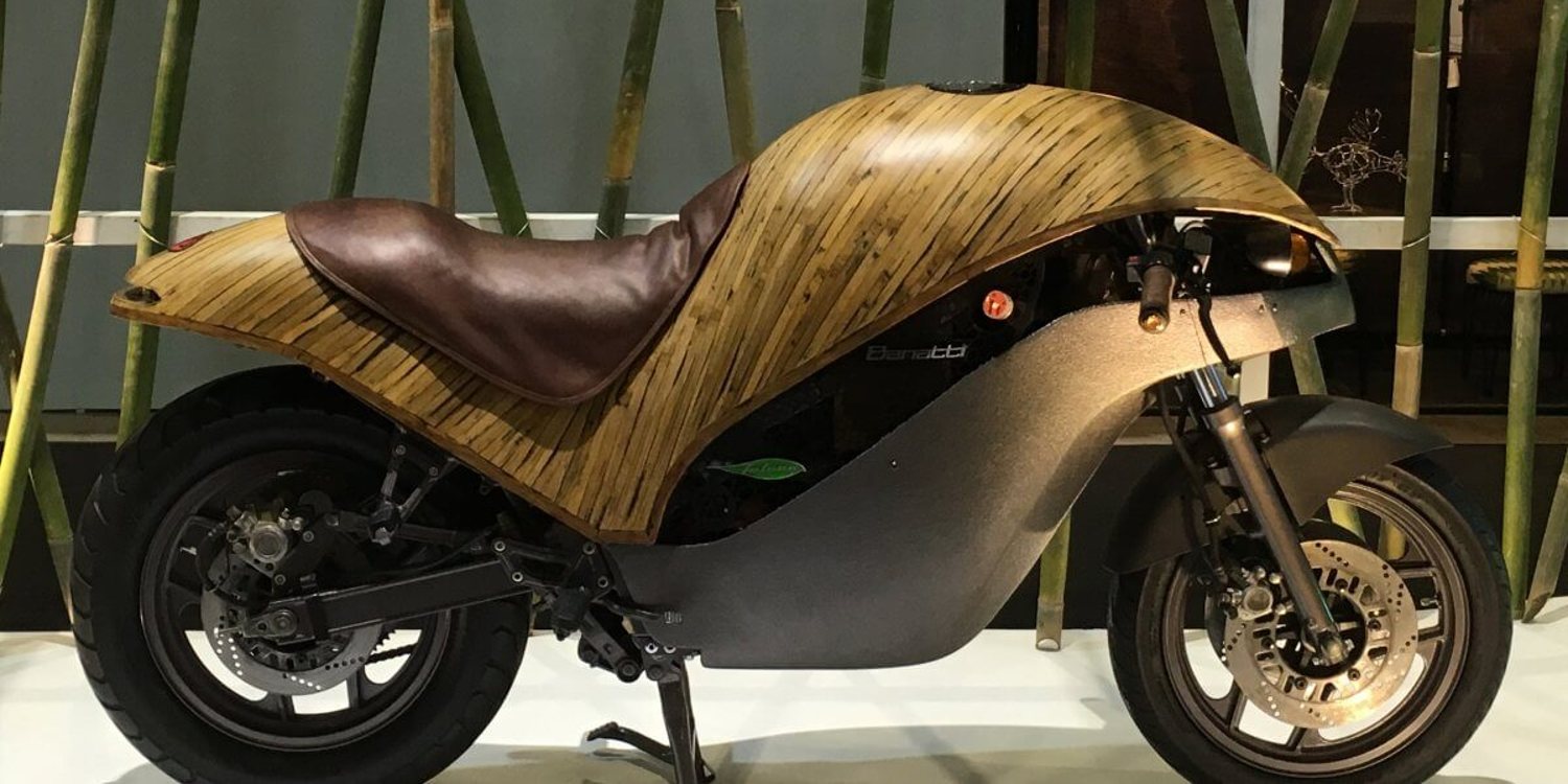 Descubre la Banatti Green Falcon