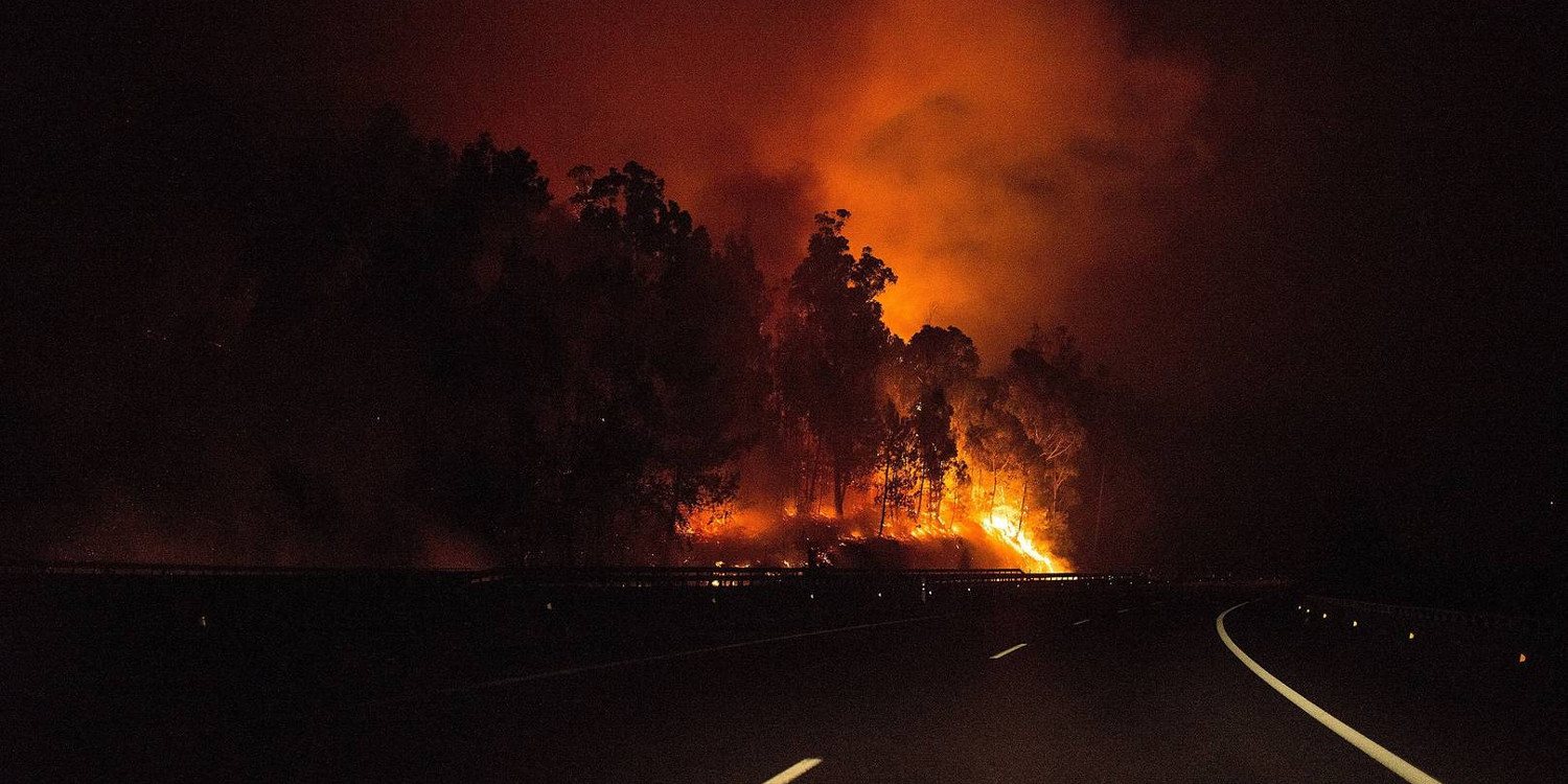 Lo que debemos hacer ante un incendio forestal mientras viajamos en nuestro auto