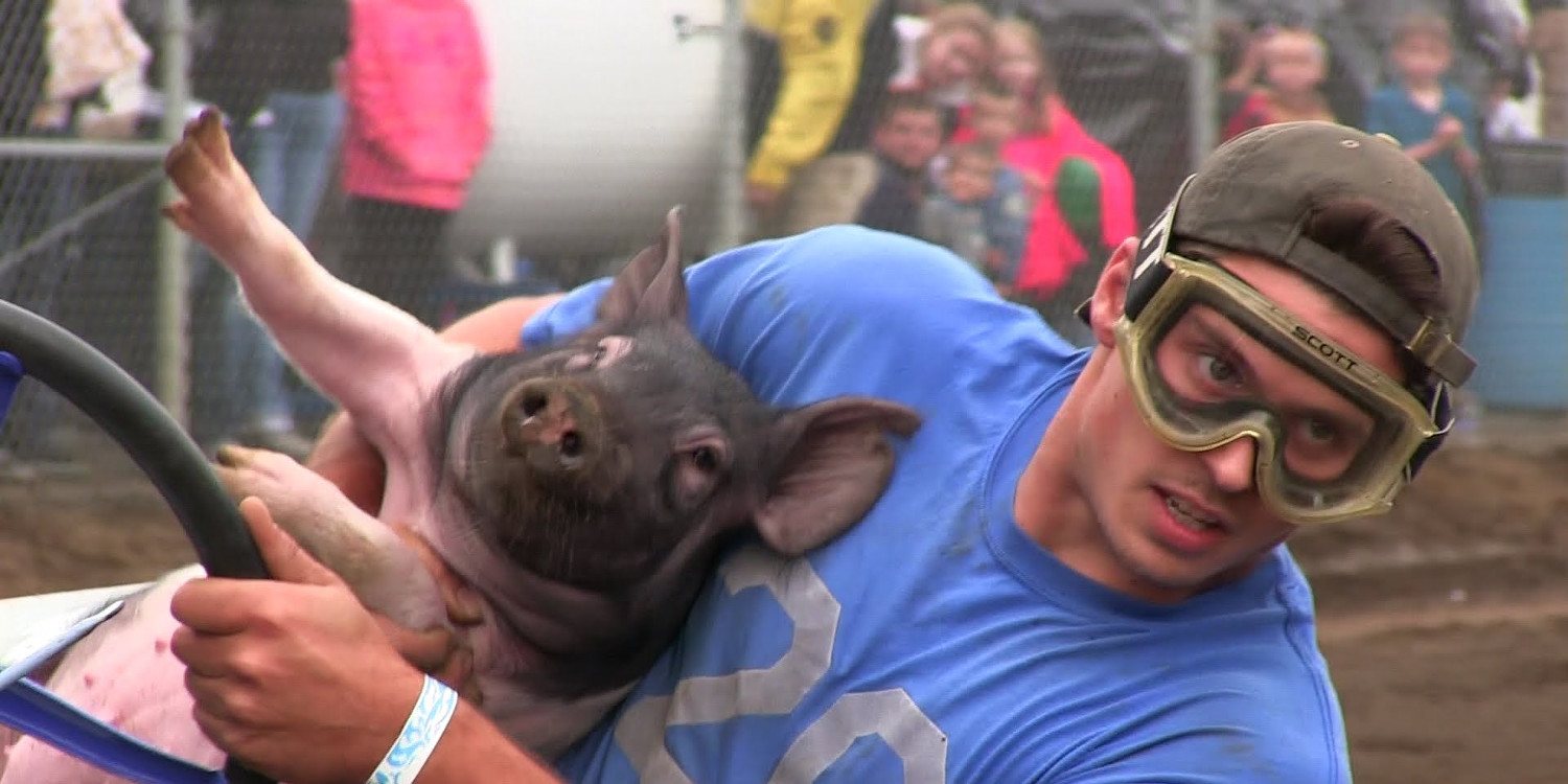 Pig-N-Ford, una carrera muy peculiar, formada por cerdos y Ford T