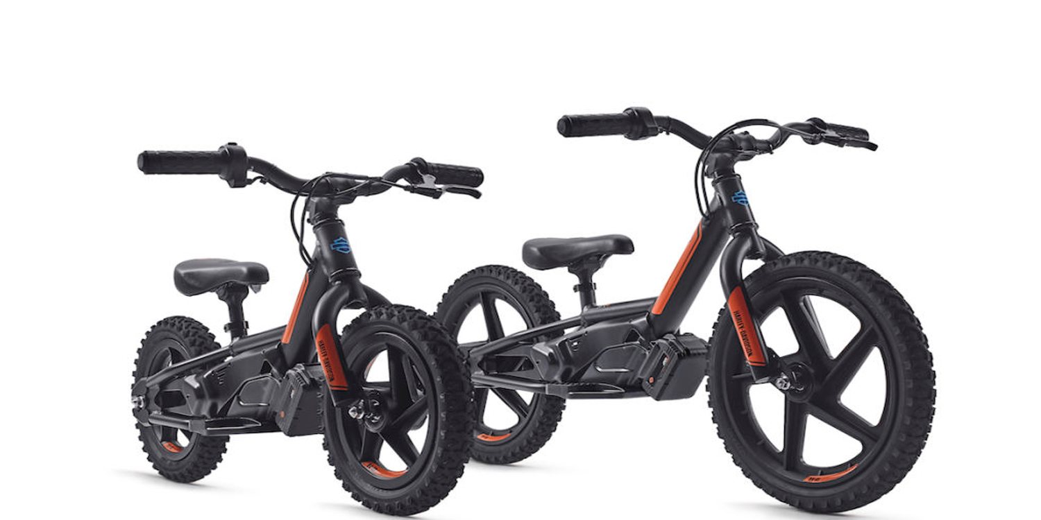 Nueva Harley-Davidson StaCyc eDrive