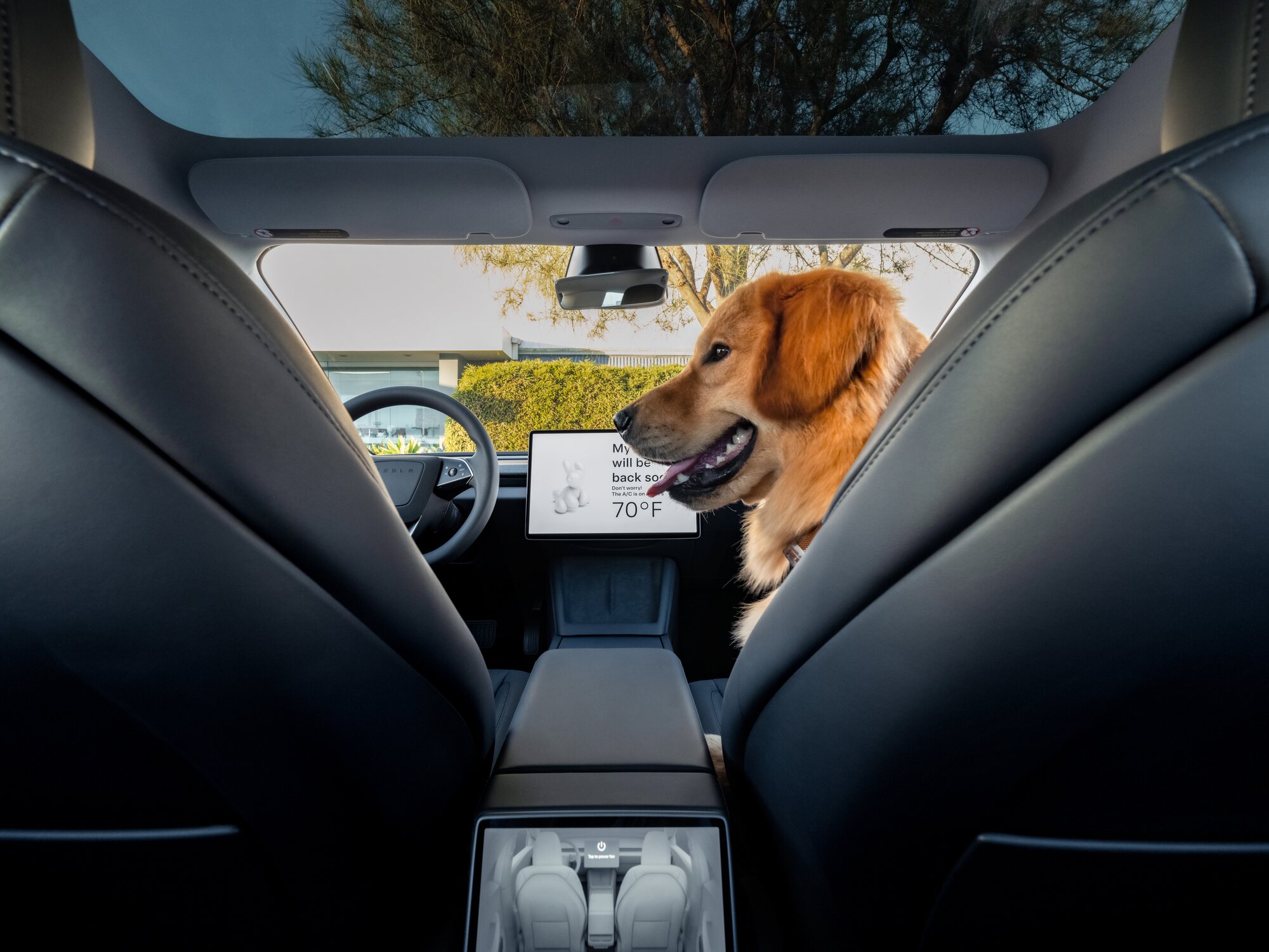 La pantalla trasera ya no estará presente en todos los modelos de Tesla por defecto